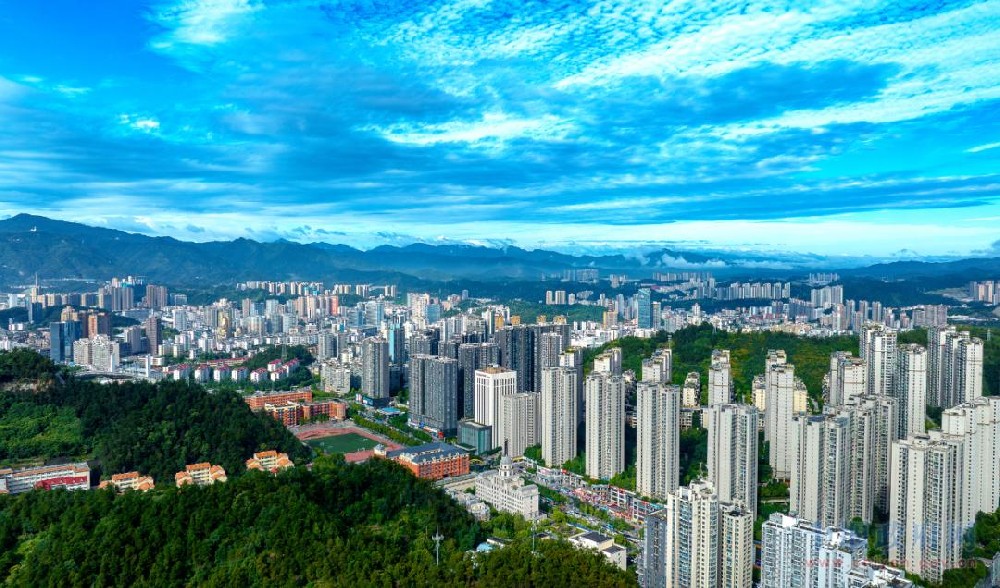精准赋能市场主体 法治护航产业发展